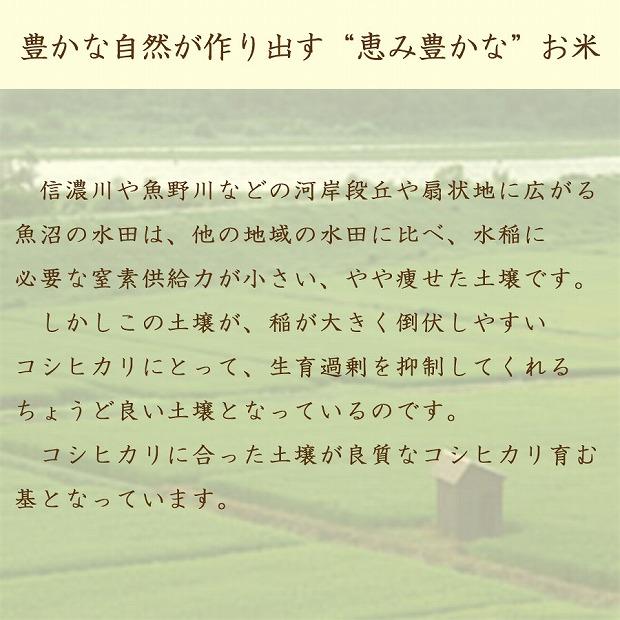 【定期便全6回】無洗米新潟県魚沼産コシヒカリ10kg（受注の翌月から毎月配送）｜新潟県　新潟　魚沼　無洗米　こしひかり　米　おこめ　お米