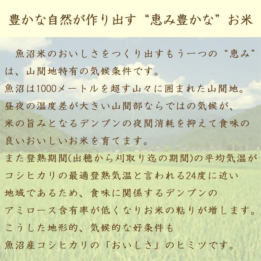 【大口】無洗米新潟県産魚沼コシヒカリ5kg×112袋　560kg