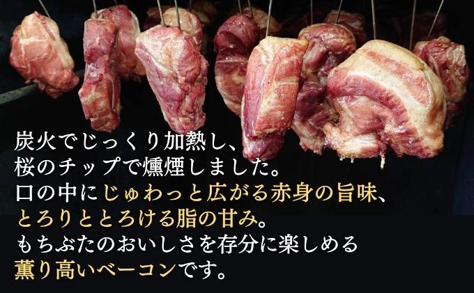 越後もちぶた(新潟県産和豚もちぶた) バラとショルダー2種のベーコンセット 600g