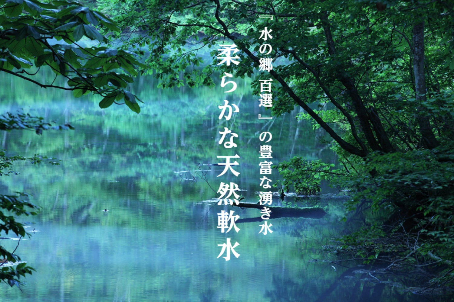 《 令和7年産  》 魚沼産コシヒカリ 5kg 一等米 ( 慣行栽培 )