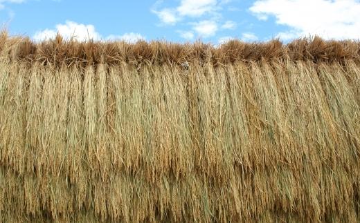 【新米】【毎月定期便】令和７年産「五つ星お米マイスター」厳選　天日干し魚沼産コシヒカリ　精米５kg×３回