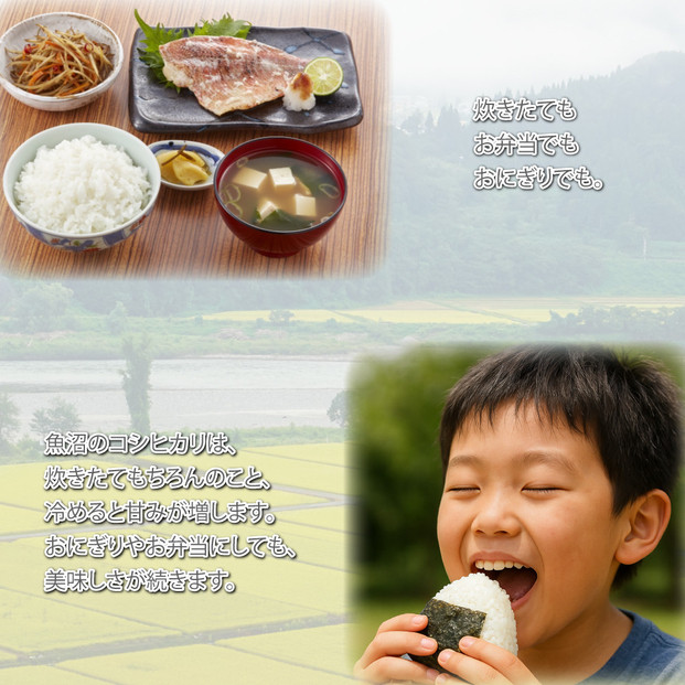 令和7年産 新潟県 魚沼産 無洗米 コシヒカリ600g(300gx2) 精米 一等米  天糧