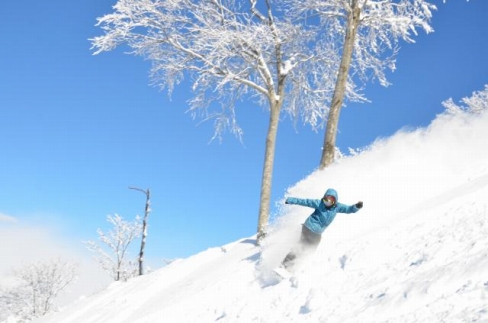 【体験利用券】新潟県の四季を満喫！ メニュー豊富！（6枚）6,000円分