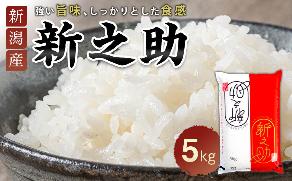 新之助 5kg