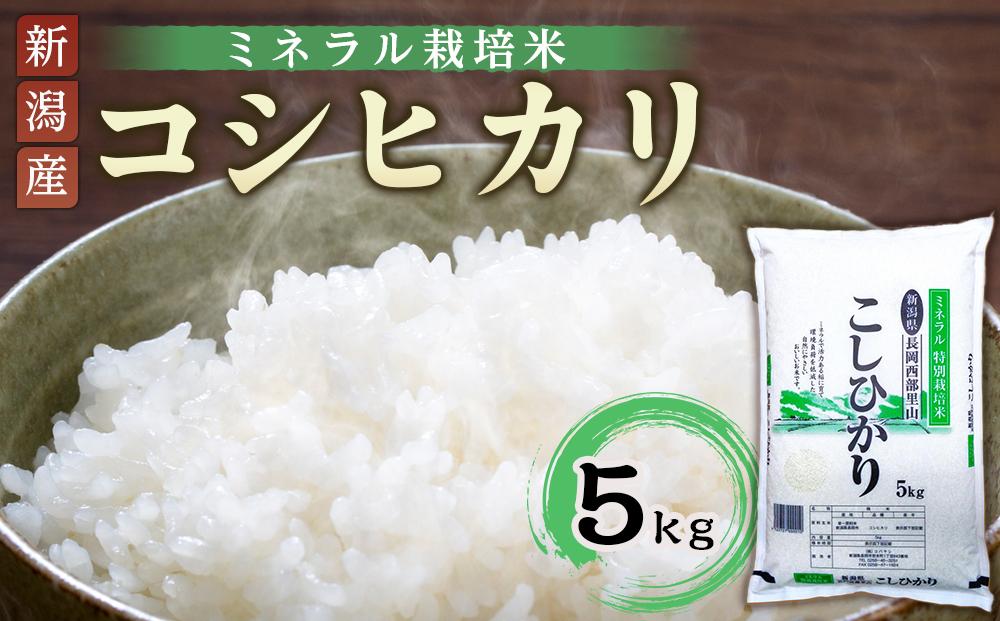 特別栽培米コシヒカリ（ミネラル栽培）5kg