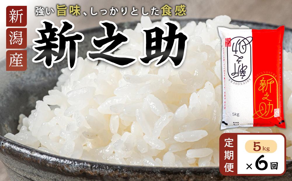 【定期便】新之助 5kg×6ヶ月連続お届け