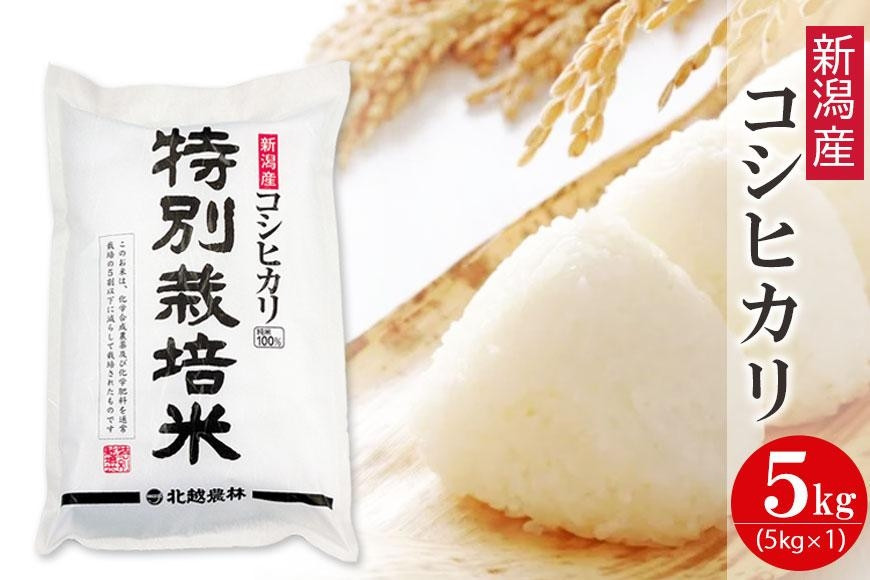 〈令和7年産 新米〉特別栽培米 新潟産コシヒカリ 5kg 精米 白米