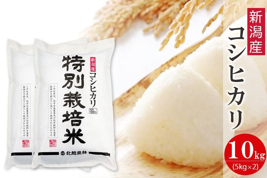 〈令和7年産 新米〉特別栽培米 新潟産コシヒカリ 10kg  精米 白米