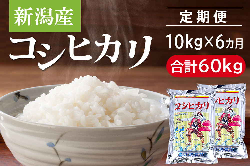 〈令和7年産 新米〉【定期便6カ月】 新潟産コシヒカリ 10kg×6回（計60kg）