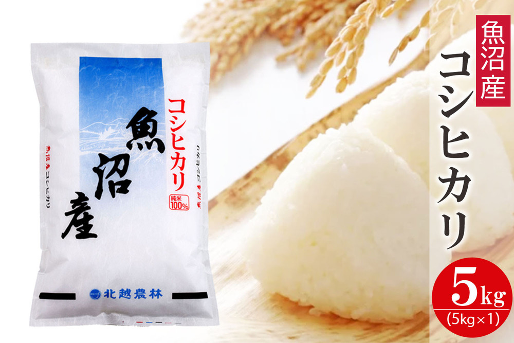 〈令和7年産 新米〉 魚沼産コシヒカリ 5kg 精米 白米
