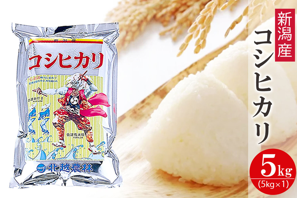 〈令和7年産 新米〉新潟産コシヒカリ 5kg 精米 白米