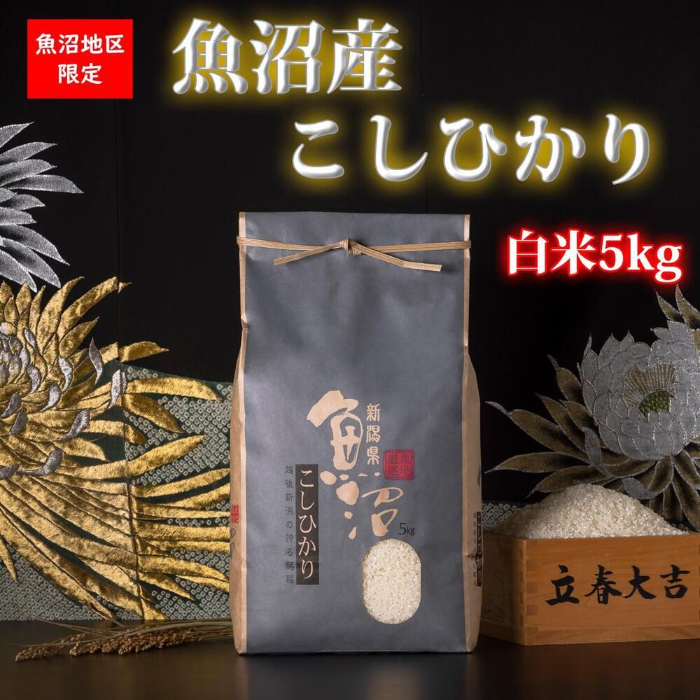 【頒布会・令和7年産 新米】魚沼産コシヒカリ（白米5kg×全12回）【新潟県 特A地区】｜新潟　魚沼　コシヒカリ　定期便　5kg　12回　米　白米