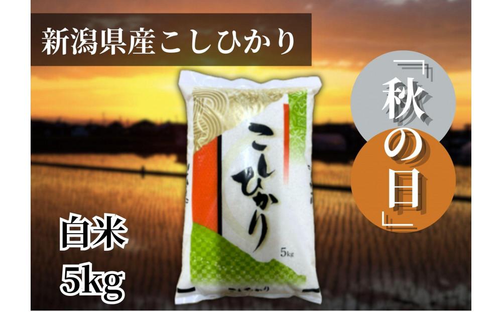 【令和6年産】新潟県産こしひかり「秋の日」（白米5kg）新潟県の美味しいお米。