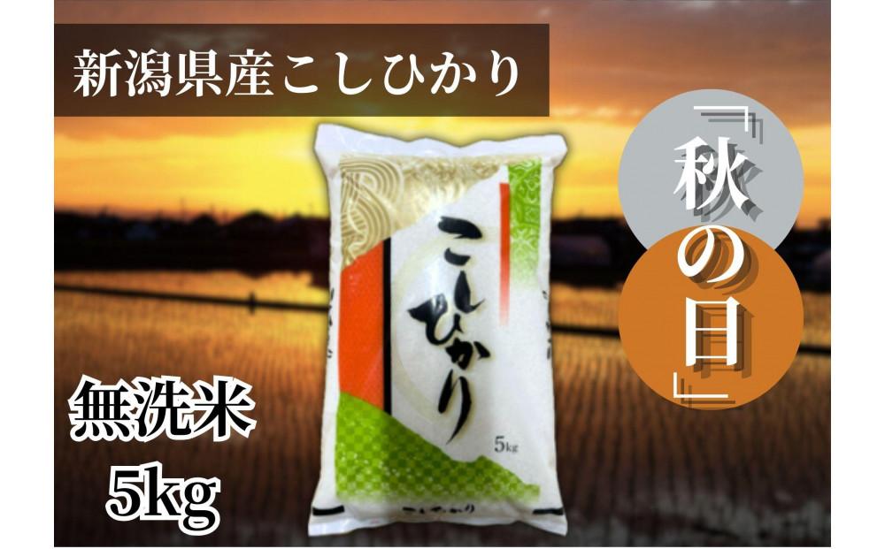 【令和6年産 】新潟県産こしひかり「秋の日」（無洗米5kg）新潟県の美味しいお米。