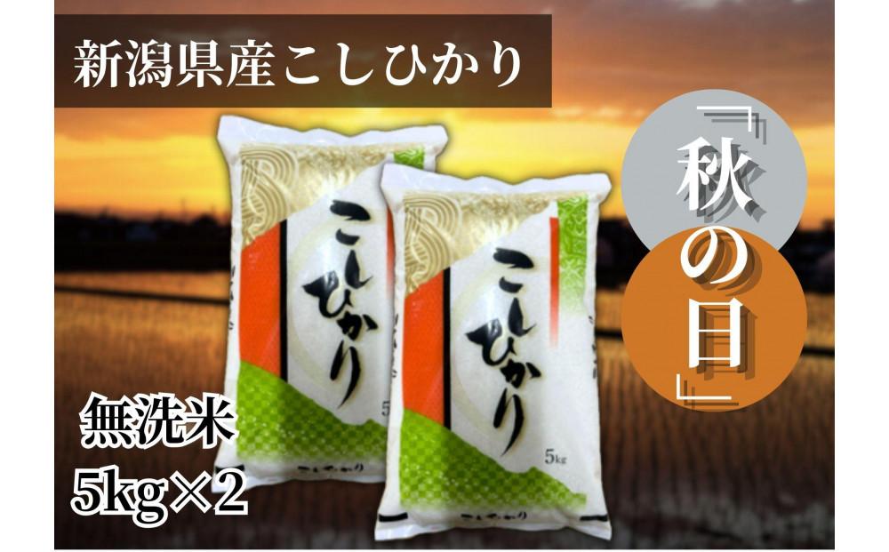 【令和7年産 】新潟県産こしひかり「秋の日」（無洗米10kg）【5kg×2袋】新潟県の美味しいお米。