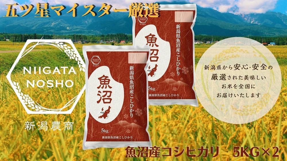 【令和7年産】五ッ星マイスター厳選　魚沼産コシヒカリ　5kg×2