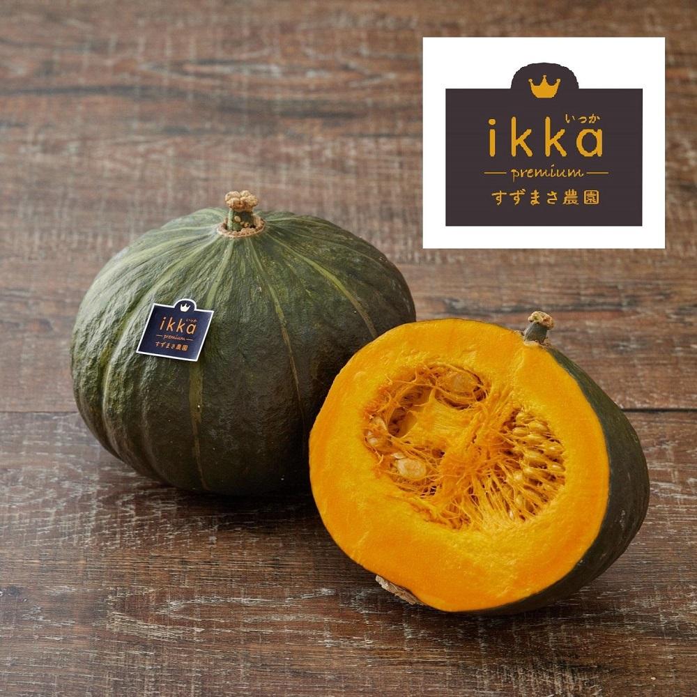 特別なかぼちゃ ikkaプレミアム【8月-9月発送】｜新潟　新潟県　カボチャ　かぼちゃ　南瓜