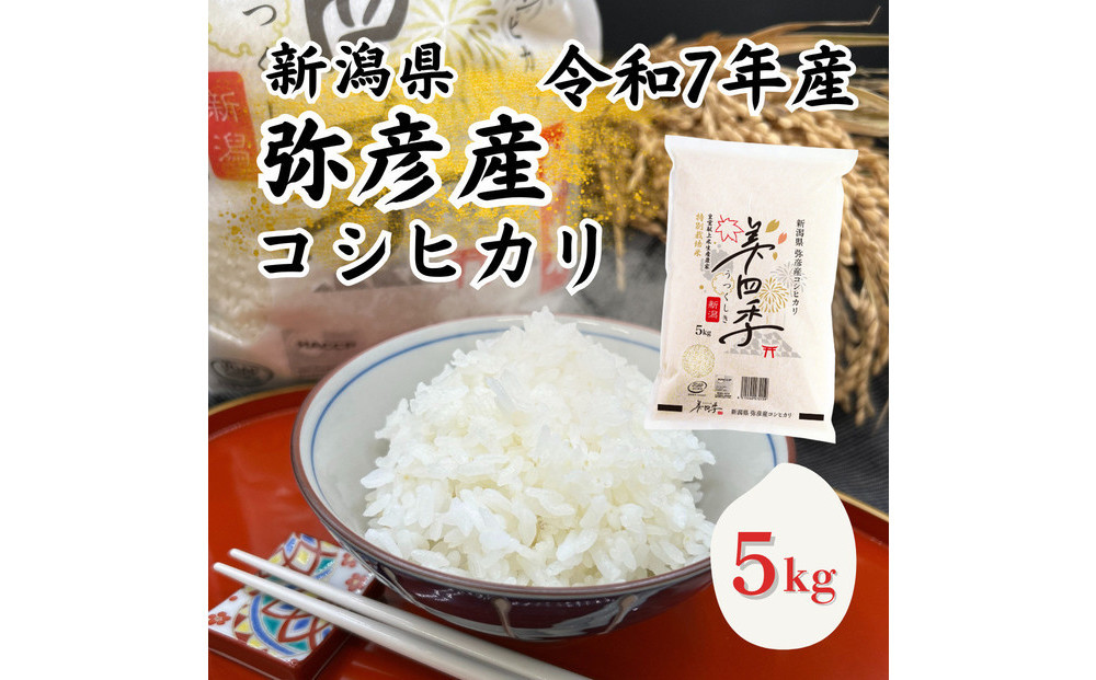 令和7年産　新潟県弥彦産コシヒカリ　美四季5kg　皇室献上米農家生産　特別栽培米