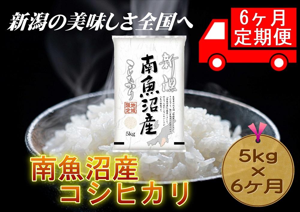 【6ヶ月連続お届け】南魚沼産コシヒカリ　5kg　新潟県　南魚沼　南魚沼産　こしひかり　米　お米