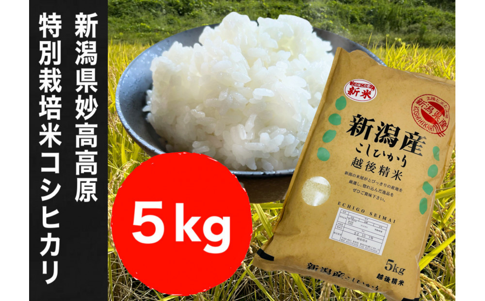 【令和7年度産新米】新潟県妙高高原減農薬特別栽培米コシヒカリ 5kg