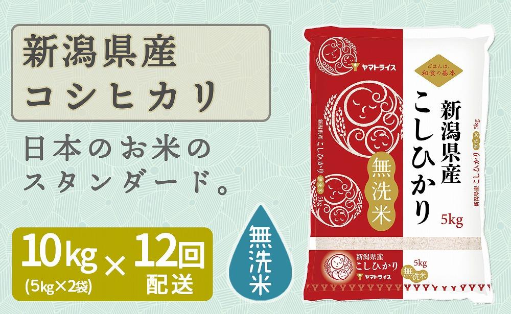 【定期便全12回】無洗米新潟県産コシヒカリ10kg（受注の翌月から毎月配送）｜新潟県　新潟　無洗米　こしひかり　米　おこめ　お米