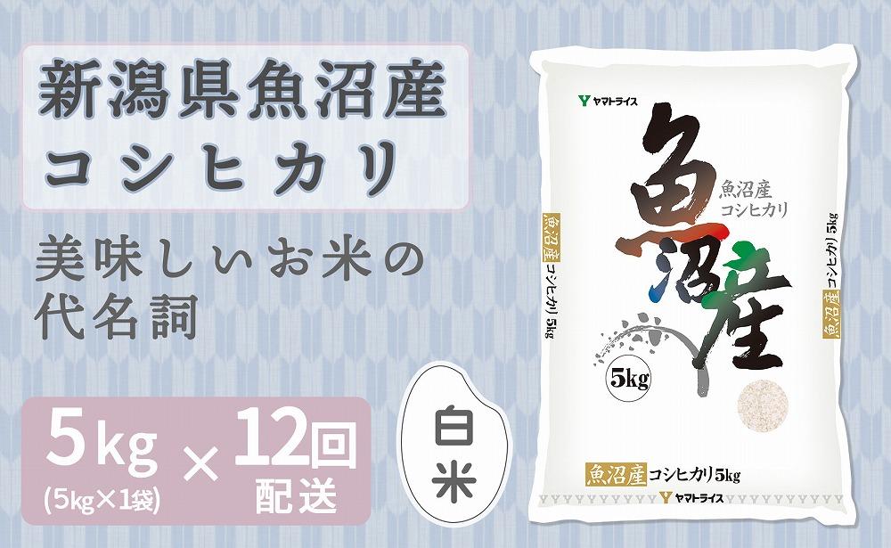【定期便全12回】新潟県魚沼産コシヒカリ5kg（受注の翌月から毎月配送）｜新潟県　新潟　魚沼　こしひかり　米　おこめ　お米