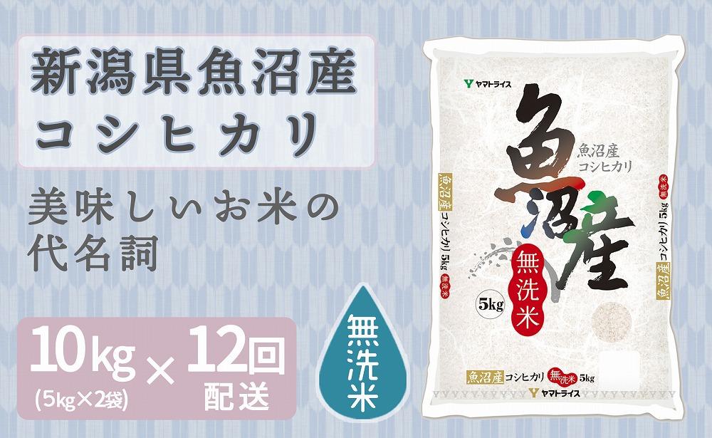 【定期便全12回】無洗米新潟県魚沼産コシヒカリ10kg（受注の翌月から毎月配送）｜新潟県　新潟　魚沼　無洗米　こしひかり　米　おこめ　お米