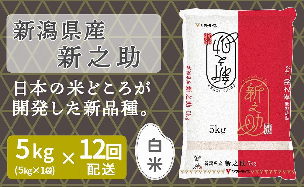 【定期便全12回】新潟県産新之助5kg（受注の翌月から毎月配送）｜新潟県　新潟　米　おこめ　お米