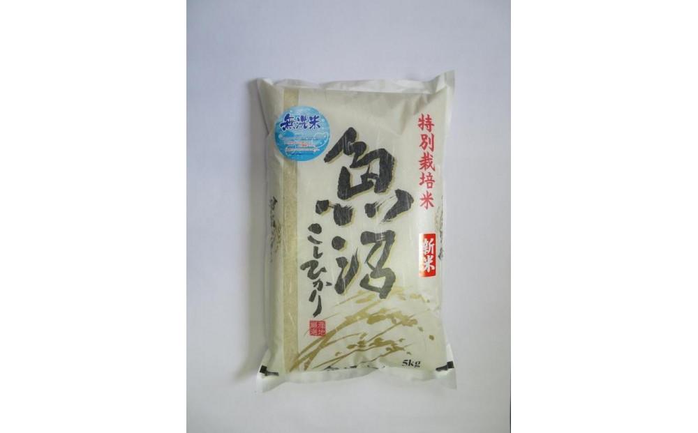 令和7年産【定期便3か月コース】無洗米　魚沼産コシヒカリ特別栽培米　5kg