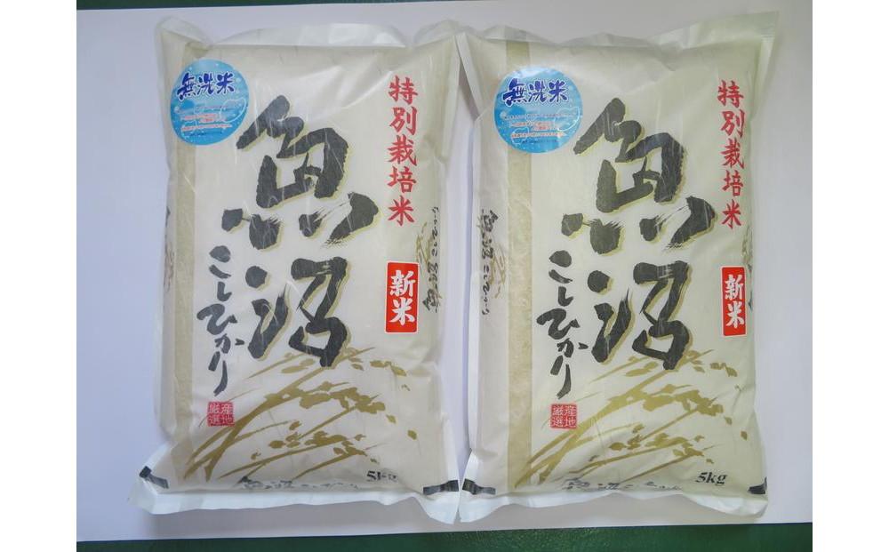 令和7年産　無洗米　魚沼産コシヒカリ特別栽培米　5kg×2