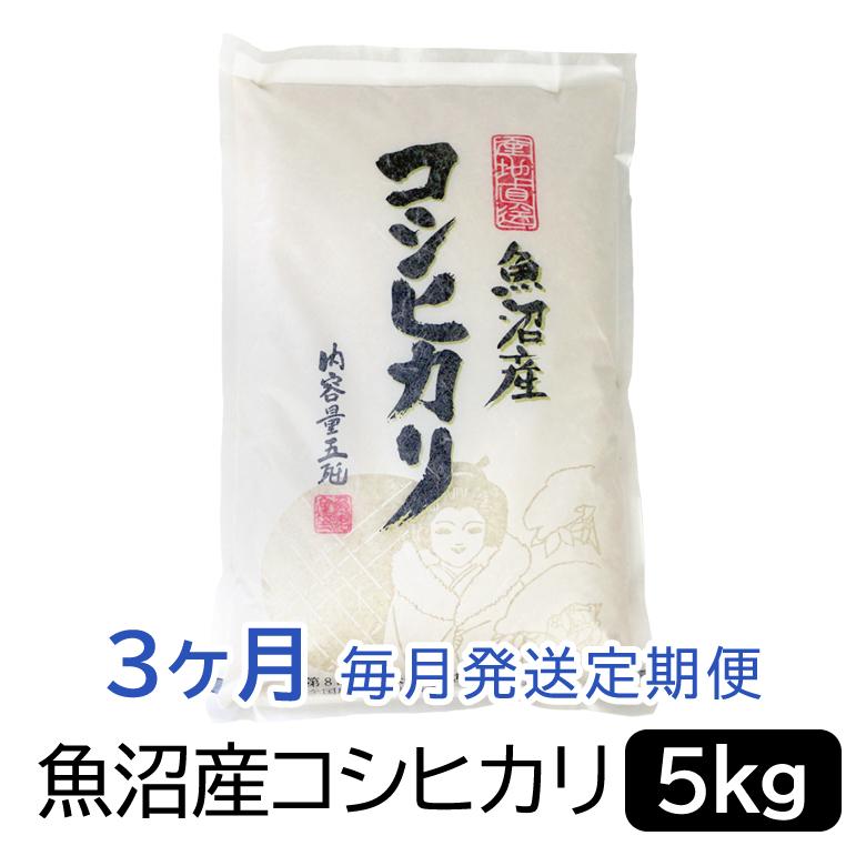 お米マイスター厳選！魚沼産コシヒカリ５kg×３ヶ月毎月発送　定期便