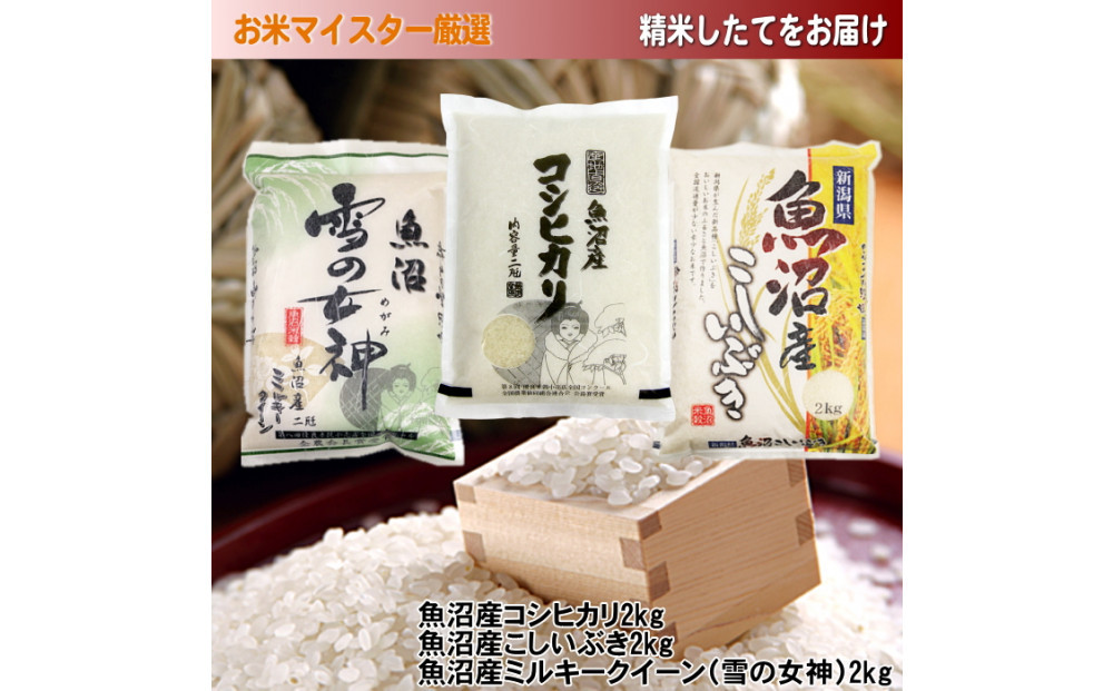 【令和7年産】魚沼産米こだわりの3品種食べ比べセット 6kg(2kg×3)新潟県 新潟 米 魚沼 魚沼産 コシヒカリ こしひかり こしいぶき ミルキークイーン