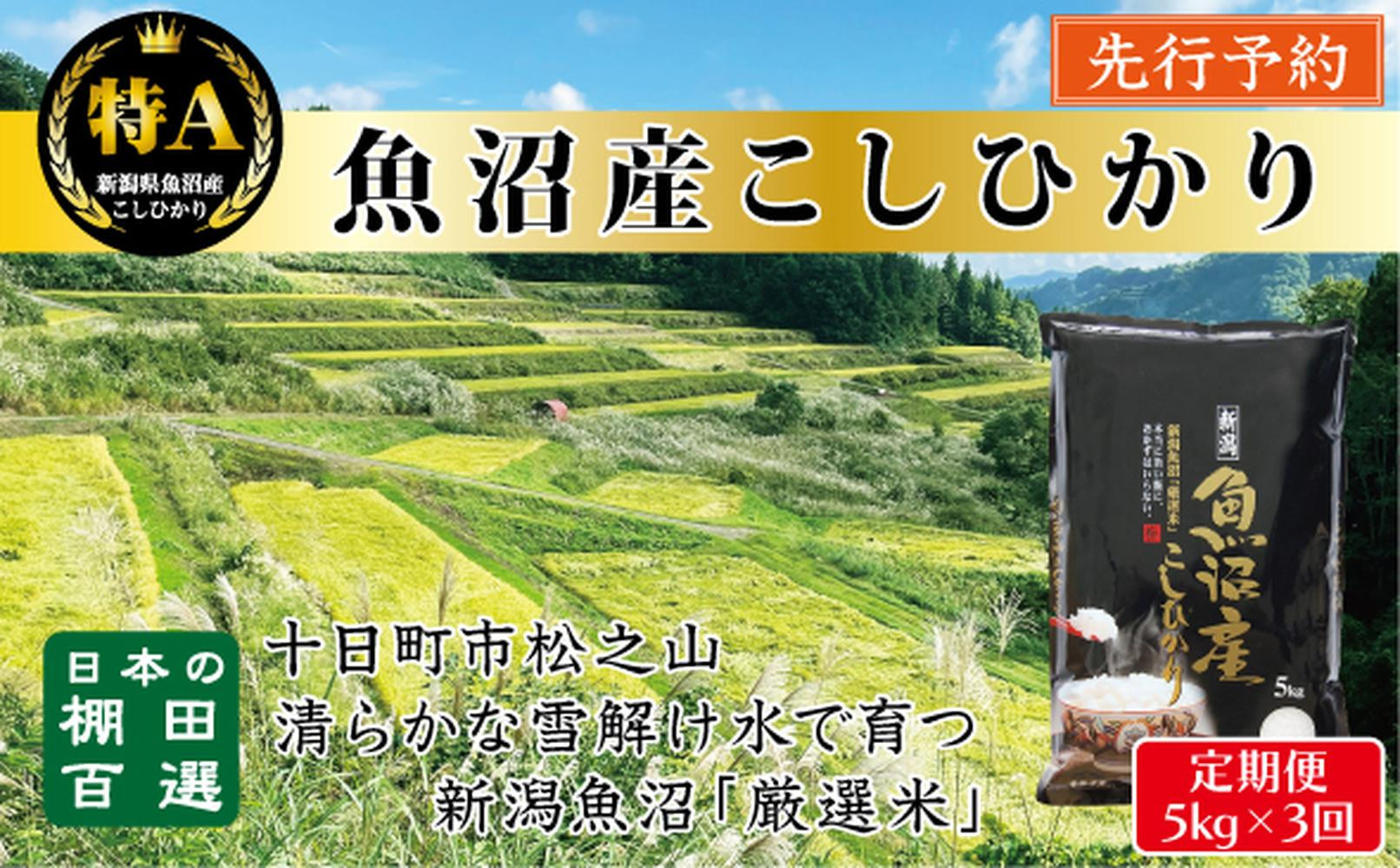 【令和７年産新米予約】【3か月定期便】10月発送開始《食味鑑定士厳選》日本棚田百選・十日町（魚沼）産こしひかり 5kg全3回