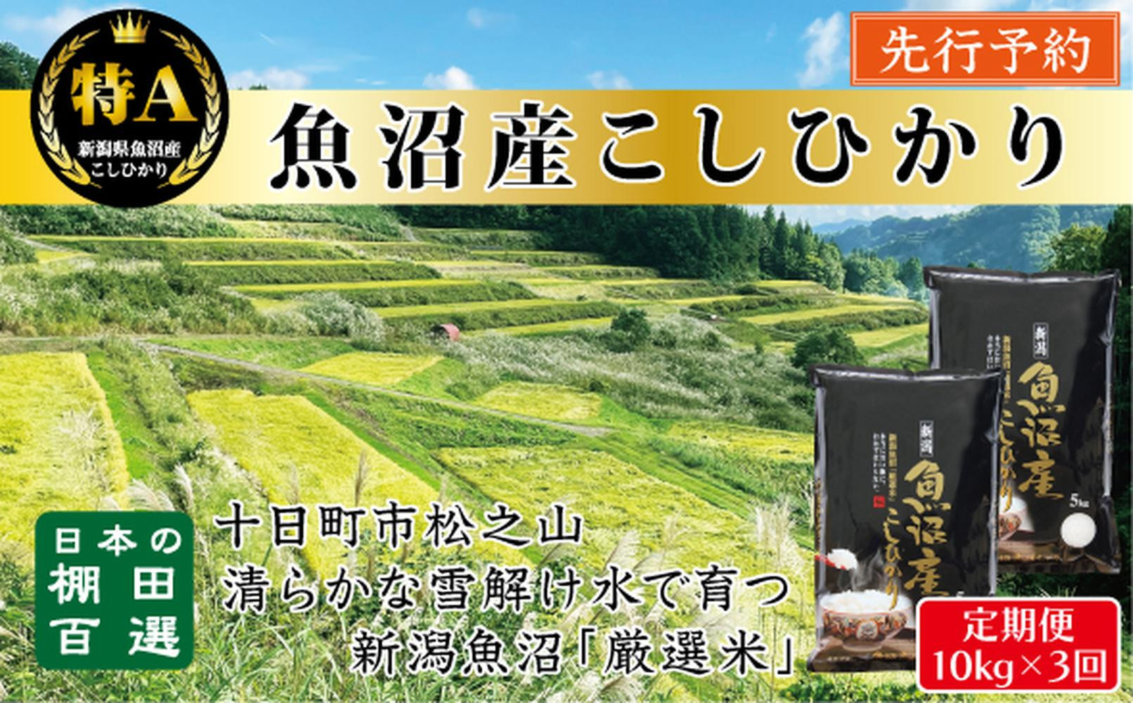 【令和７年産新米予約】【3か月定期便】10月発送開始《食味鑑定士厳選》日本棚田百選・十日町（魚沼）産こしひかり 10kg全3回