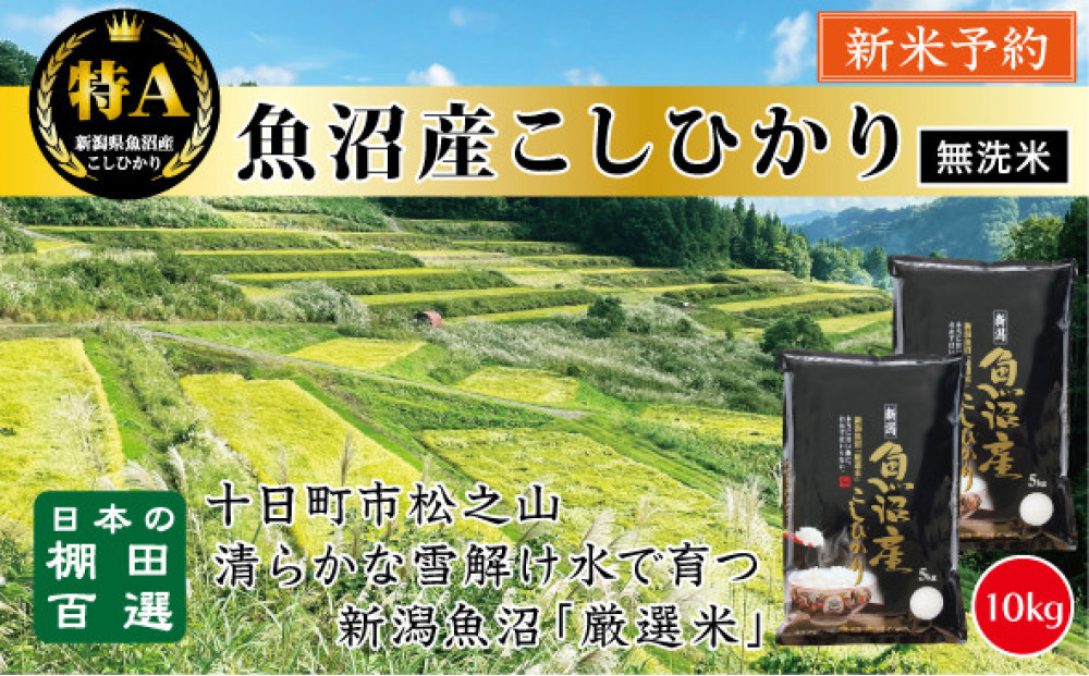 【無洗米】【令和７年産新米予約】【食味鑑定士厳選】　日本の棚田百選　新潟県十日町（魚沼）産　コシヒカリ10kg(5kg×2)