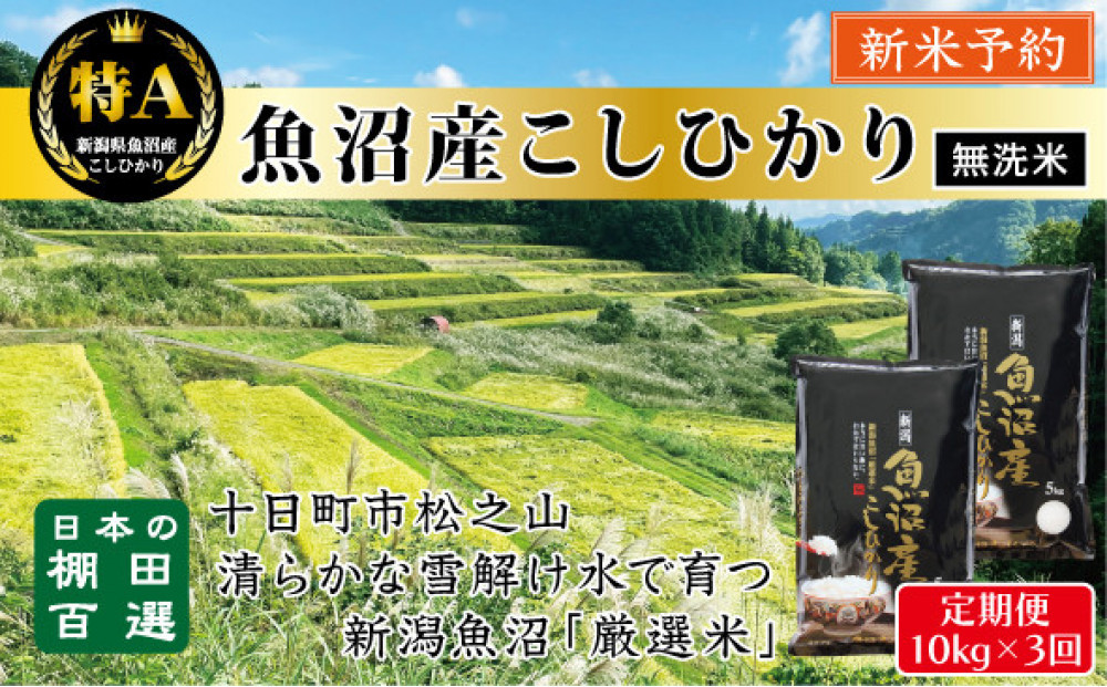 【無洗米】【令和７年産新米予約】【3か月定期便】10月発送開始《食味鑑定士厳選》日本棚田百選・十日町（魚沼）産こしひかり 10kg全3回