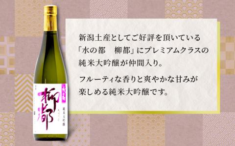 高野酒造 水の都 柳都 純米大吟醸・吟醸酒セット 720ml×2本
