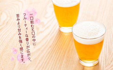 Niigata BEER　24本セット