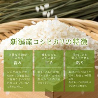 無洗米新潟産コシヒカリ6ヵ月定期 5kg