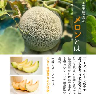 太田農園メロン“GIFT”赤肉メロン＆青肉メロンセット（各1玉ずつ） 2025年 先行予約 メロン セット 赤肉 赤肉メロン 青肉 青肉メロン 高級 果物 フルーツ デザート 新潟 夏フルーツ