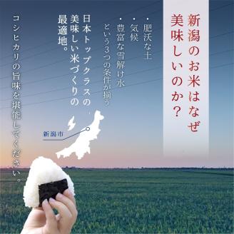 【定期便】新潟産コシヒカリ5kg×3回 3ヶ月