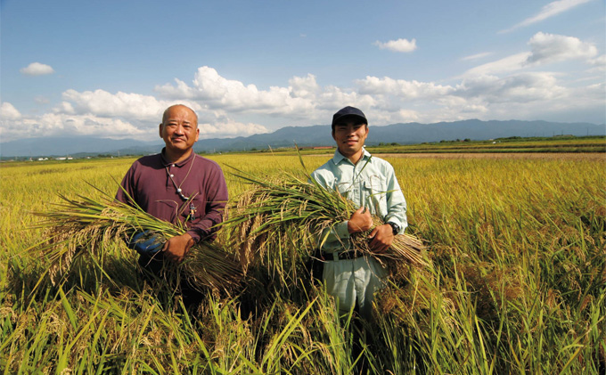 新潟県産 コシヒカリ 5kg 米 精米 白米 こめ コメ お米 おこめ こしひかり 新潟 新潟県