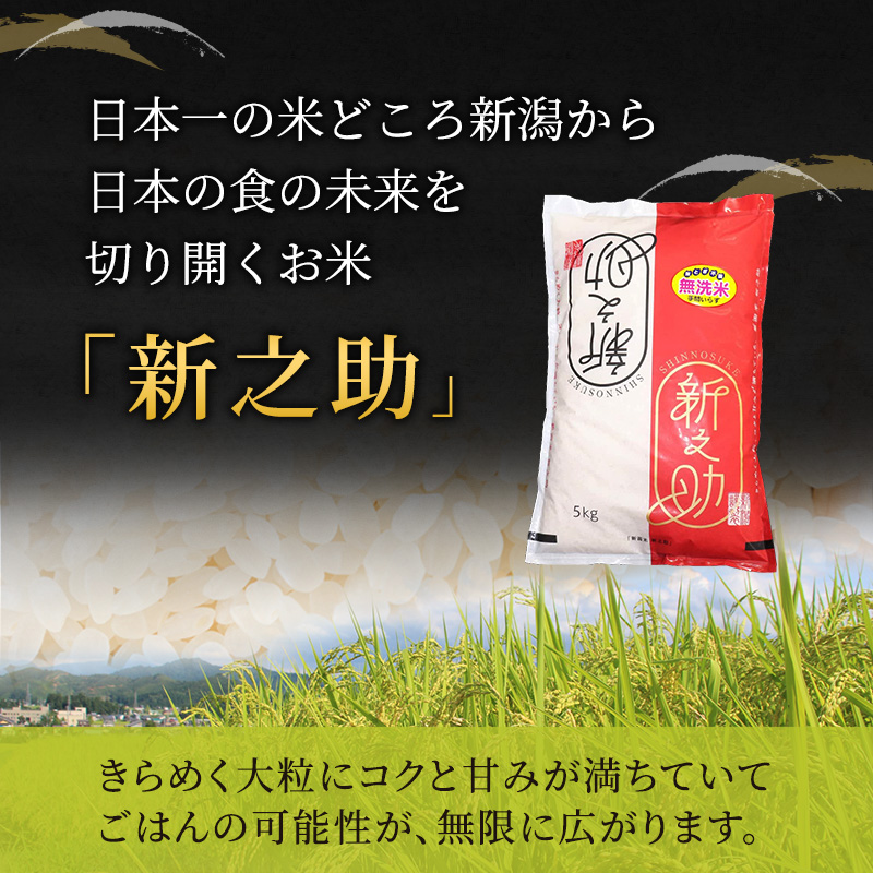 米 6ヶ月定期便 新潟 新之助 5kg 白米 精米 １等米 精米仕立てを発送致します 新潟県産 定期便 お米 5kg こめ コメ ブランド米 6ヶ月 半年 6回 お楽しみ
