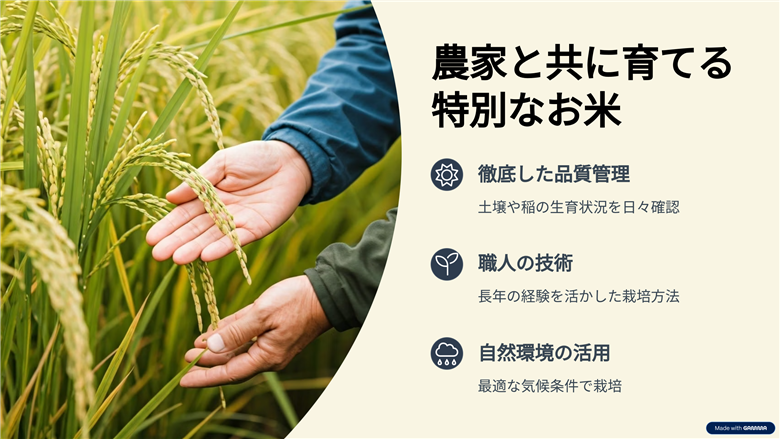 新潟産コシヒカリ 5kg お米