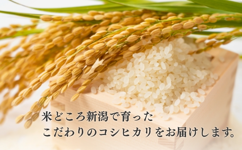 R7年産米【定期便】新潟産コシヒカリ5kg×6回