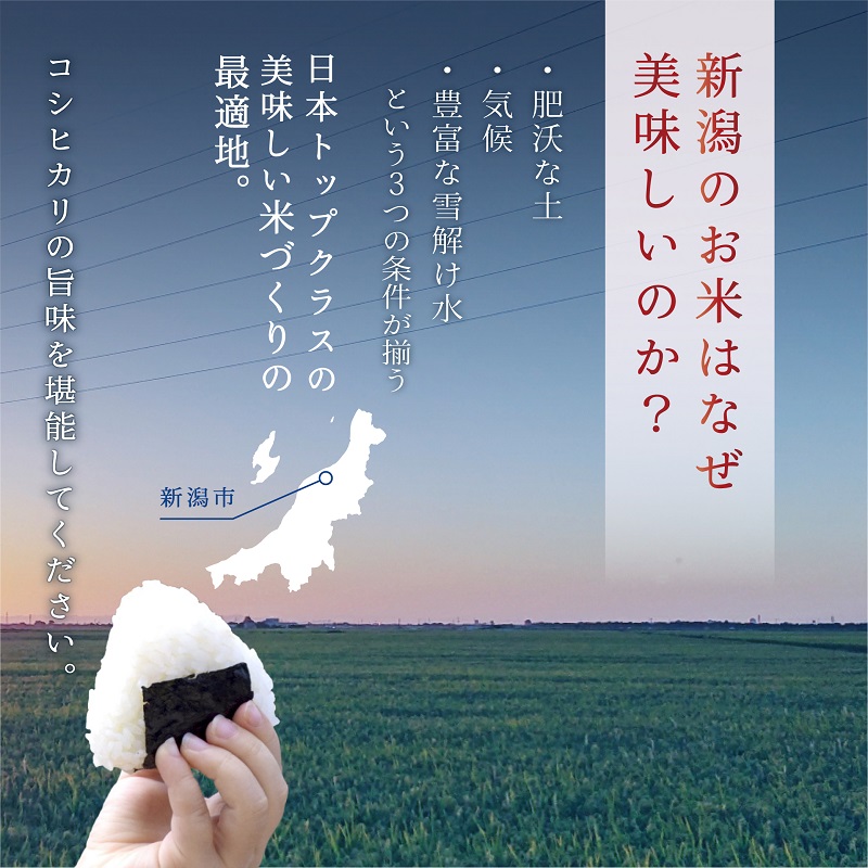 新潟産コシヒカリ 5kg 米 精米