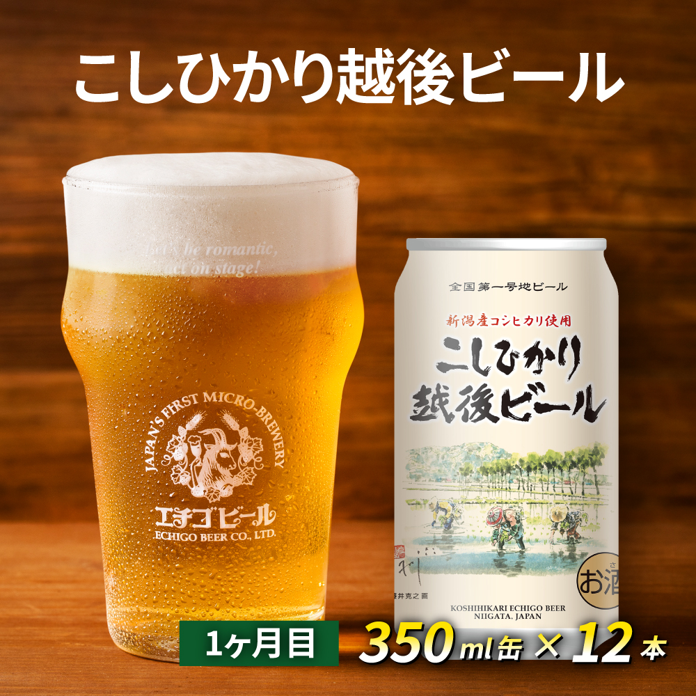 【定期便2ヶ月】エチゴビール【1ヶ月目】こしひかり越後ビール350ml缶×12本【2ヶ月目】プレミアムレッドエール350ml缶×12本