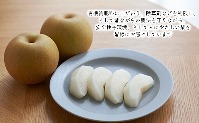 和梨 5kg 家庭用（新高・新興） 梨 新高梨 新興梨 和梨 なし ナシ 新高 新興 フルーツ 果物 デザート おやつ 国産 新潟