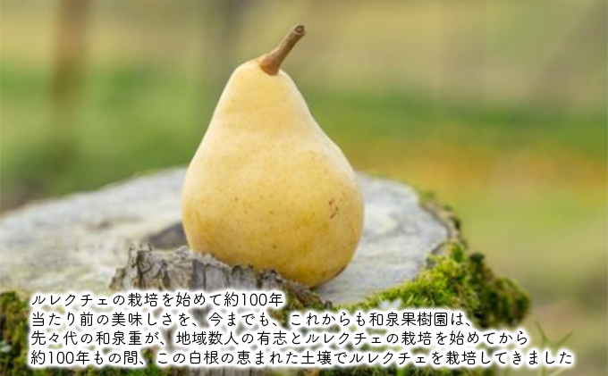 ルレクチェストレートジュース200ml 6本セット