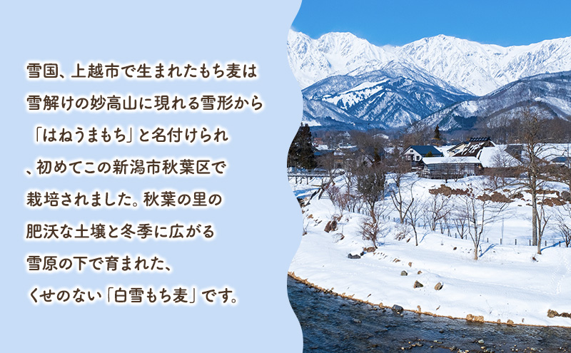 秋葉の里　白雪もち麦